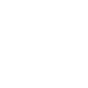 BassBus